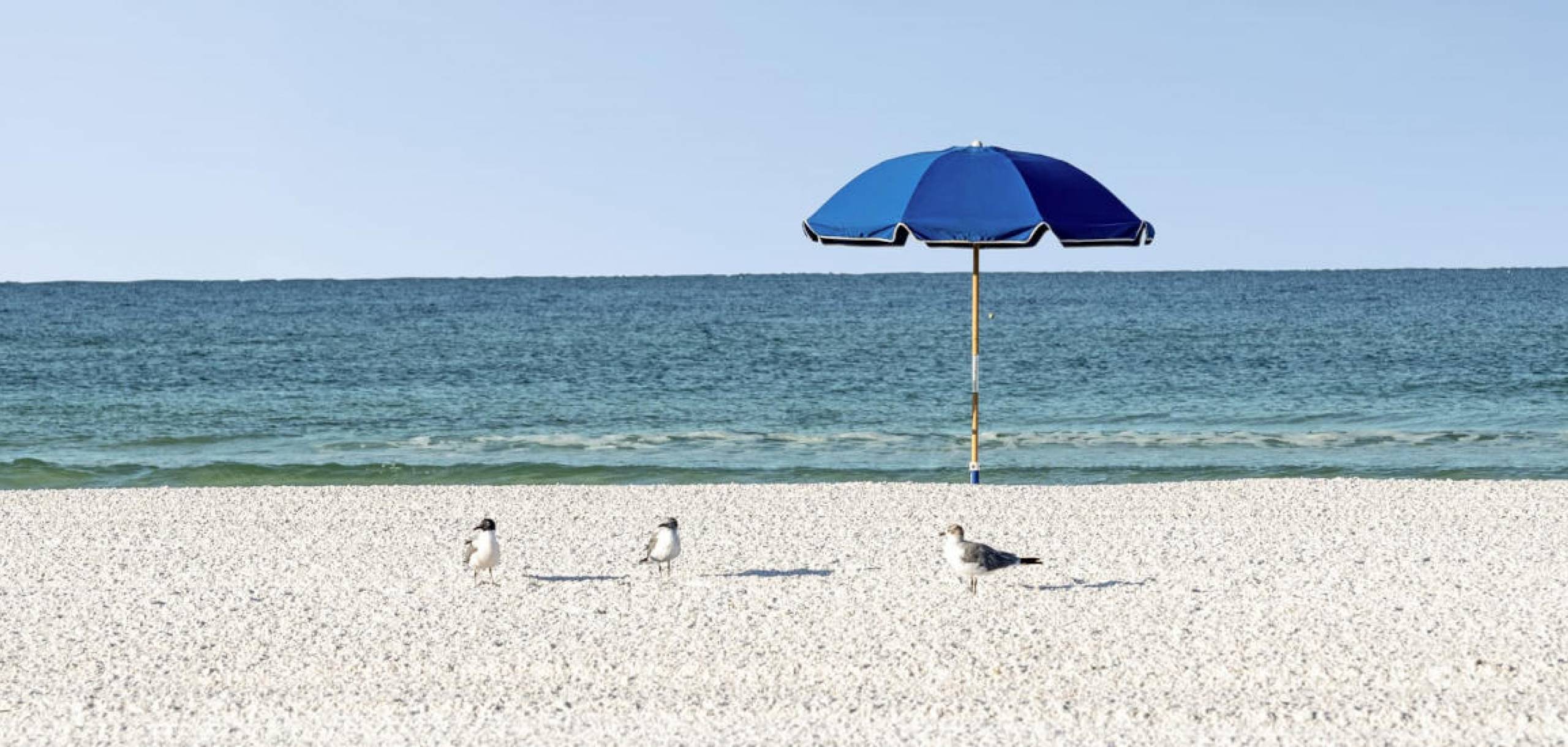 private beach access on Siesta Key